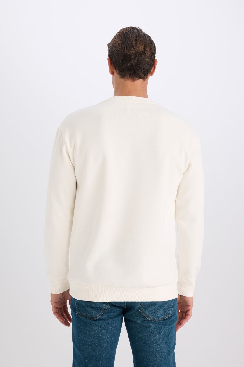 Erkek Ekru Relax Fit Bisiklet Yaka Nakışlı Kalın Sweatshirt