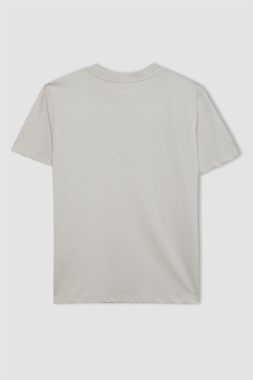 Erkek Çocuk - Genç Erkek Açık Gri Bisiklet Yaka Baskılı Kısa Kollu Tişört Erkek Çocuk