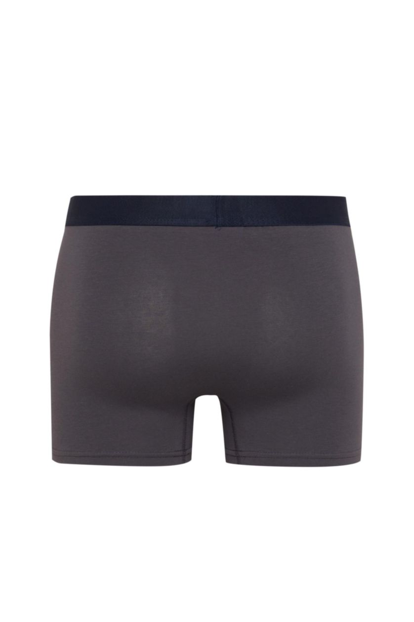 Erkek Royal Regular Fit 3'lü Boxer