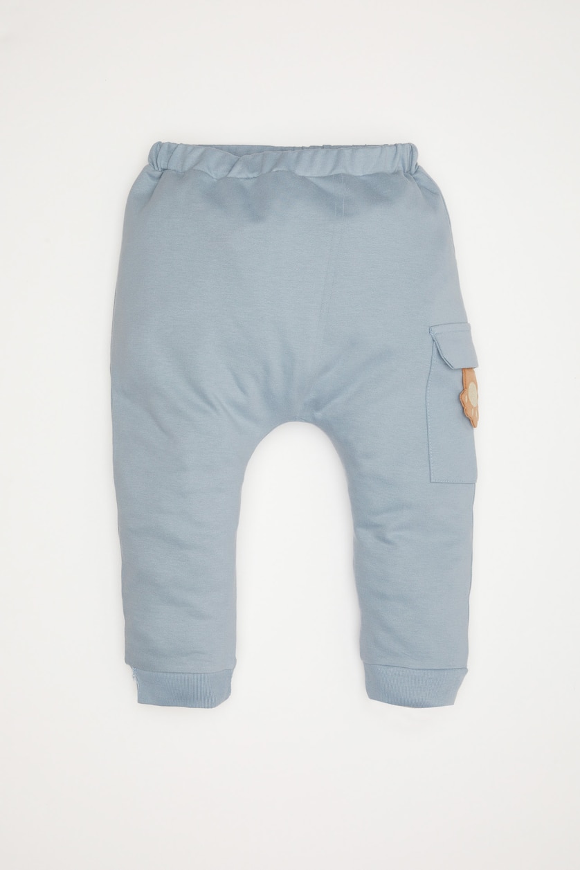 Baby Boys Beige Baby Boy Animal Printed Sweatshirt Jogger Sweatpants 2 Piece Set
