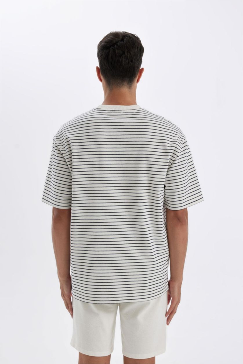 Erkek Ekru Relax Fit Bisiklet Yaka Çizgili Kısa Kollu Tişört