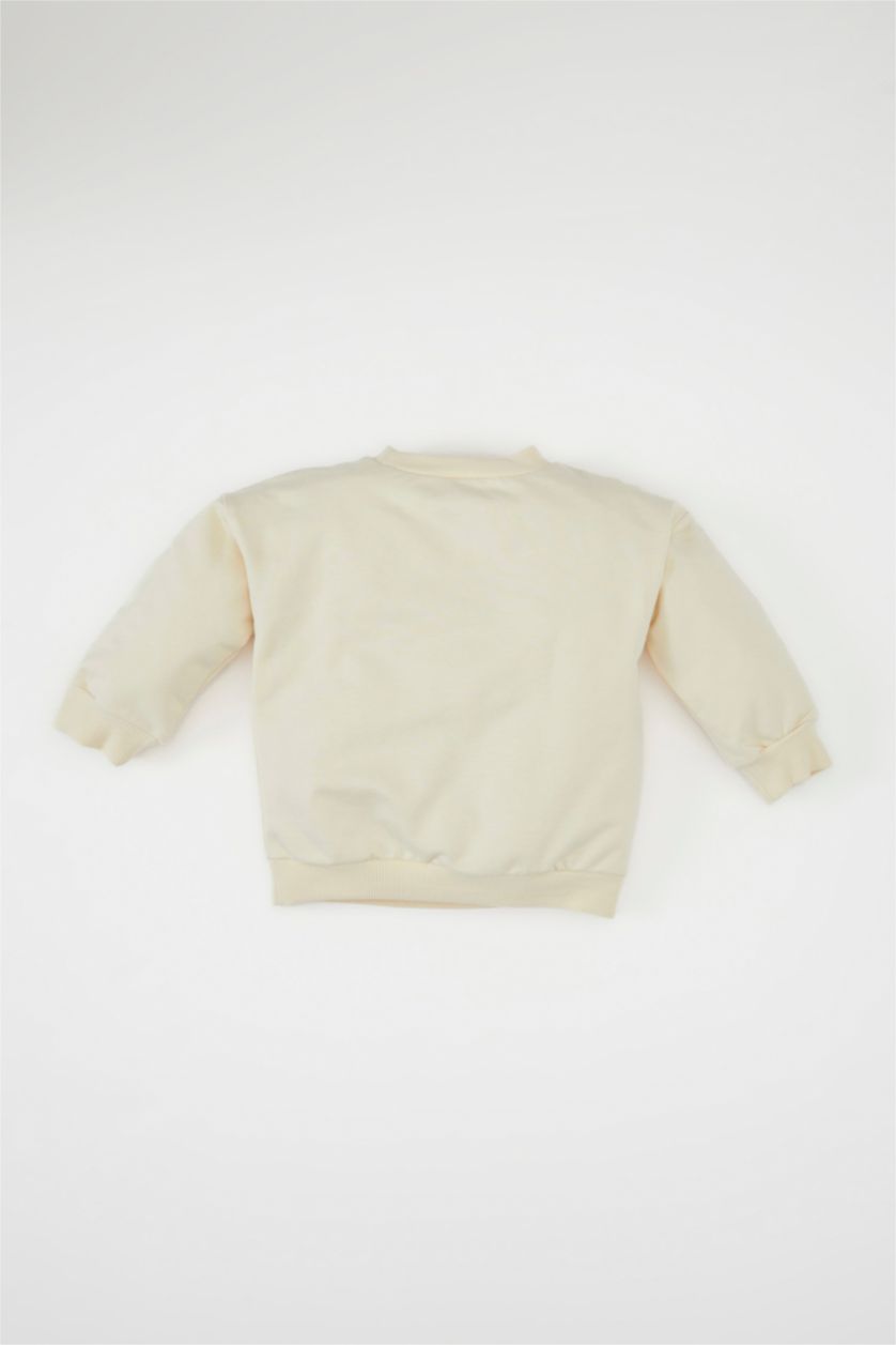 طفل صغير حجري فاتح سويت شيرت بيبي اولادي قصة عادية حجري