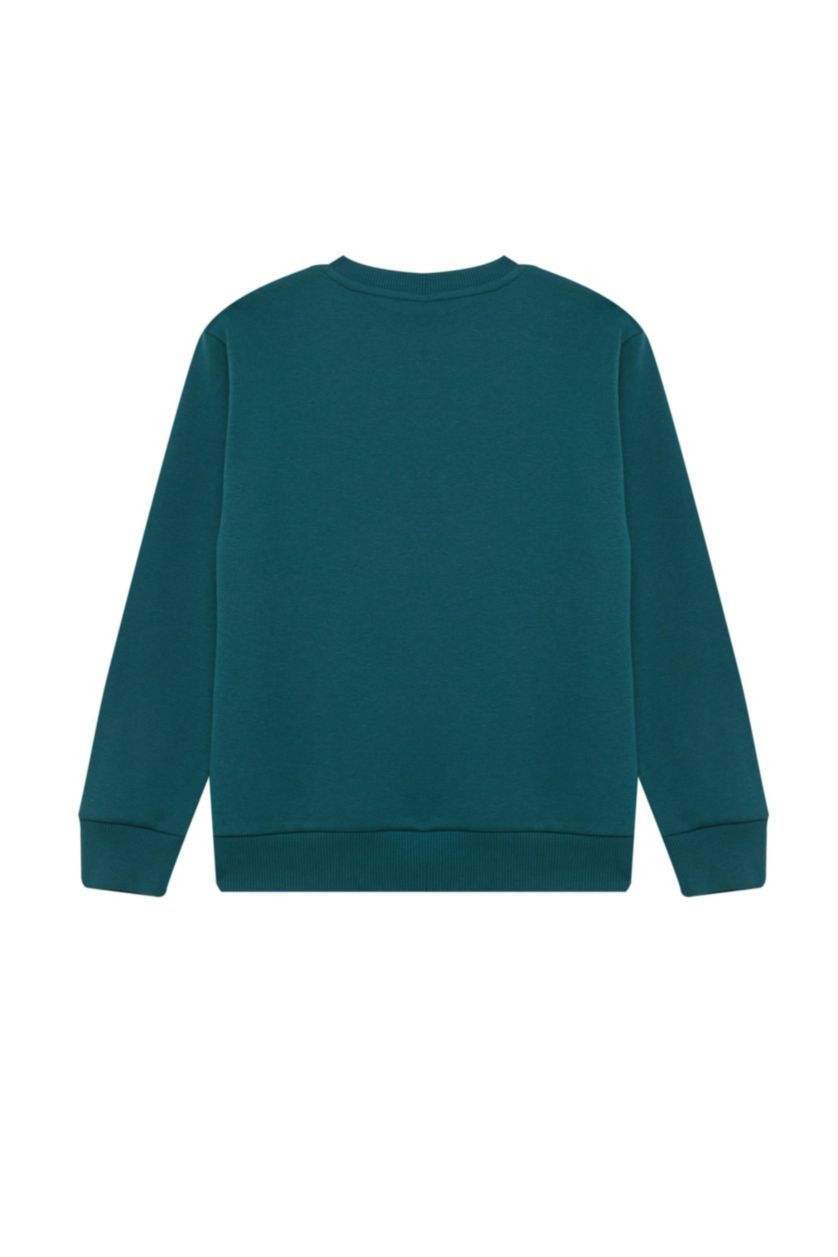 GARÇONS Vert Sweat-shirt imprimé à coupe régulière et col rond