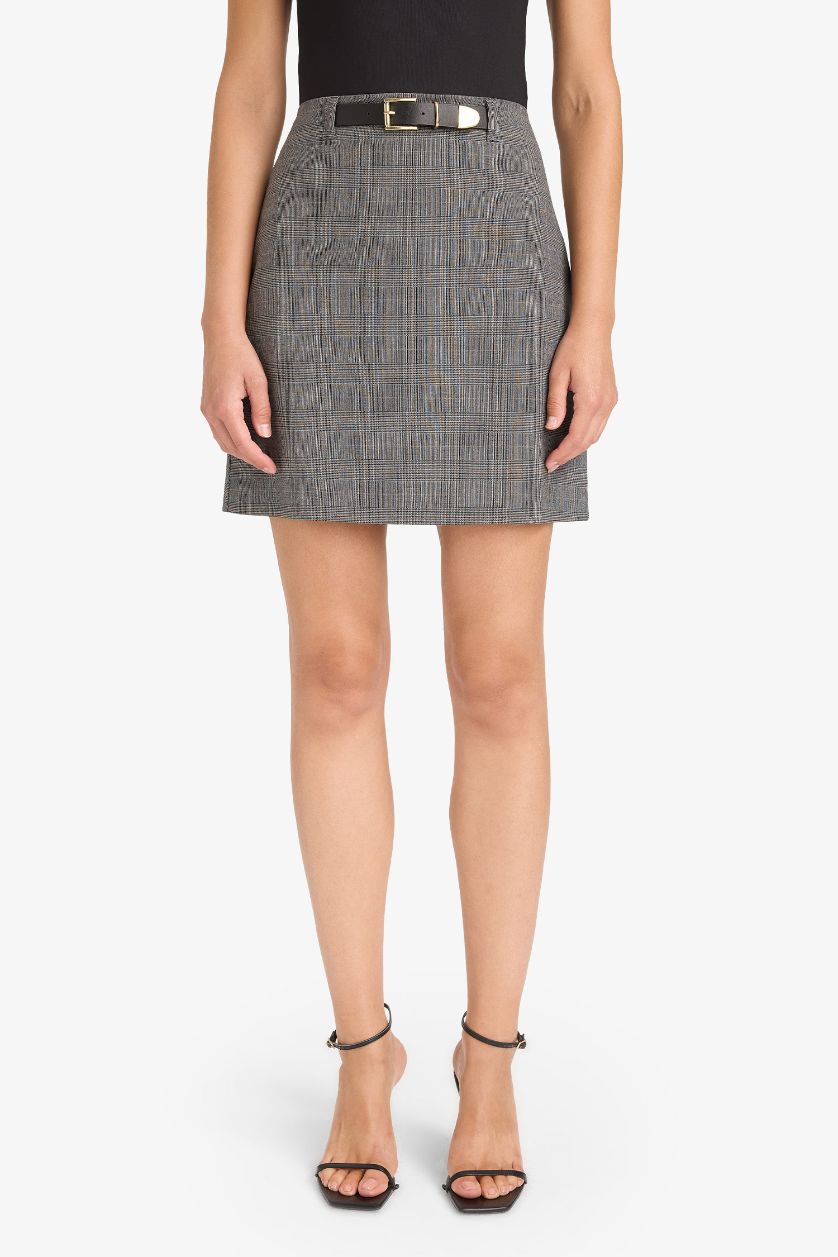 Woman Dark Brown A Cut High Waist Mini Skirt