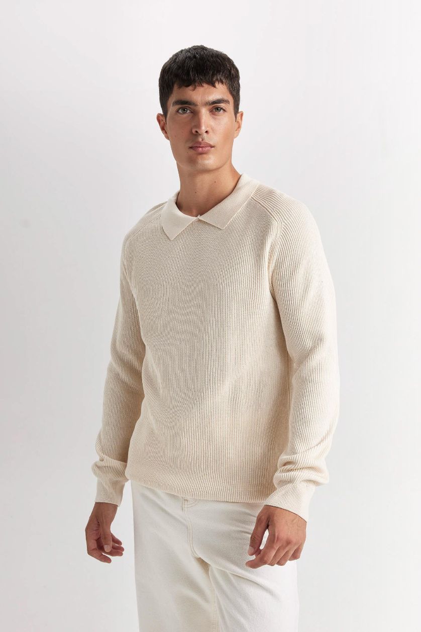 HOMME Beige Clair Pull en tricot à col polo basique à coupe standard