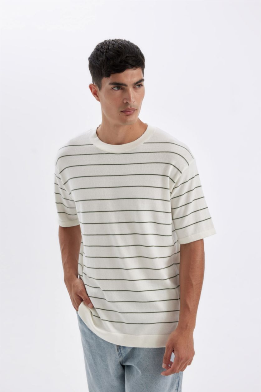 Man Khaki Standard Fit Crew Neck Cotton Striped T-Shirt