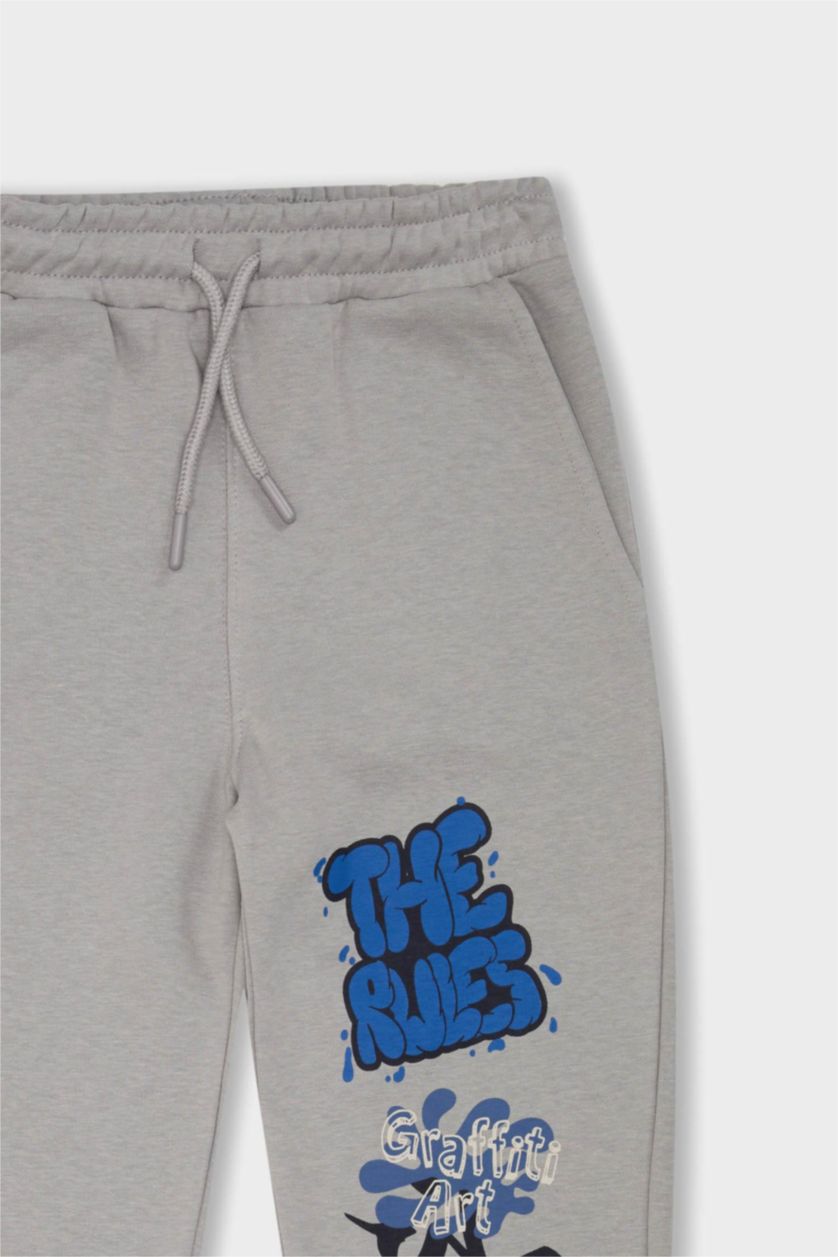 Young Boys - Teen Boys Light Grey Regular Fit Trousers