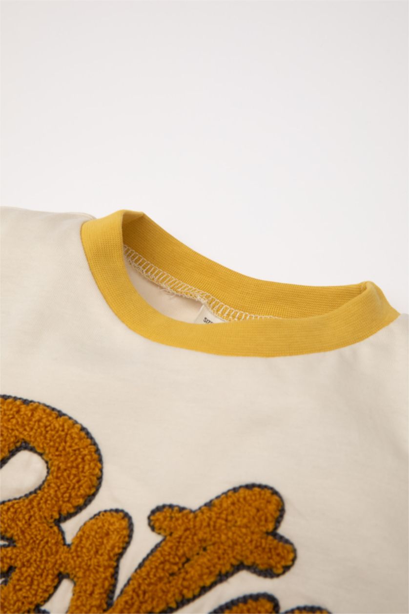 BABY BOY Light Stone Baby Boy Crew Neck Printed Color Block T-Shirt