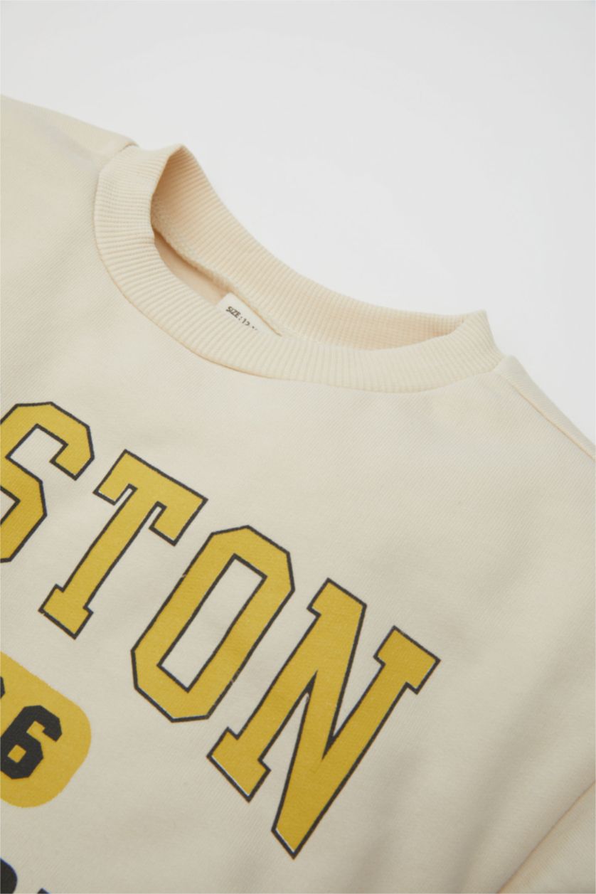 Erkek Bebek Açık Taş Erkek Bebek 2'li Takım Renk Bloklu Baskılı Bisiklet Yaka Sweatshirt Üst  Beli Lastikli Jogger Eşofman Altı