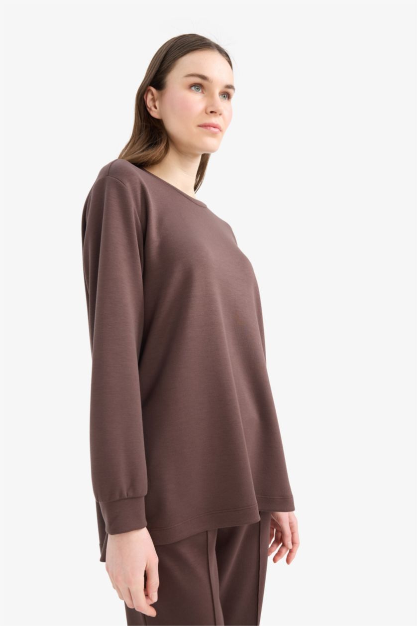 Woman Brown Regular Fit Crew Neck Basic Sweatshirt Tunic