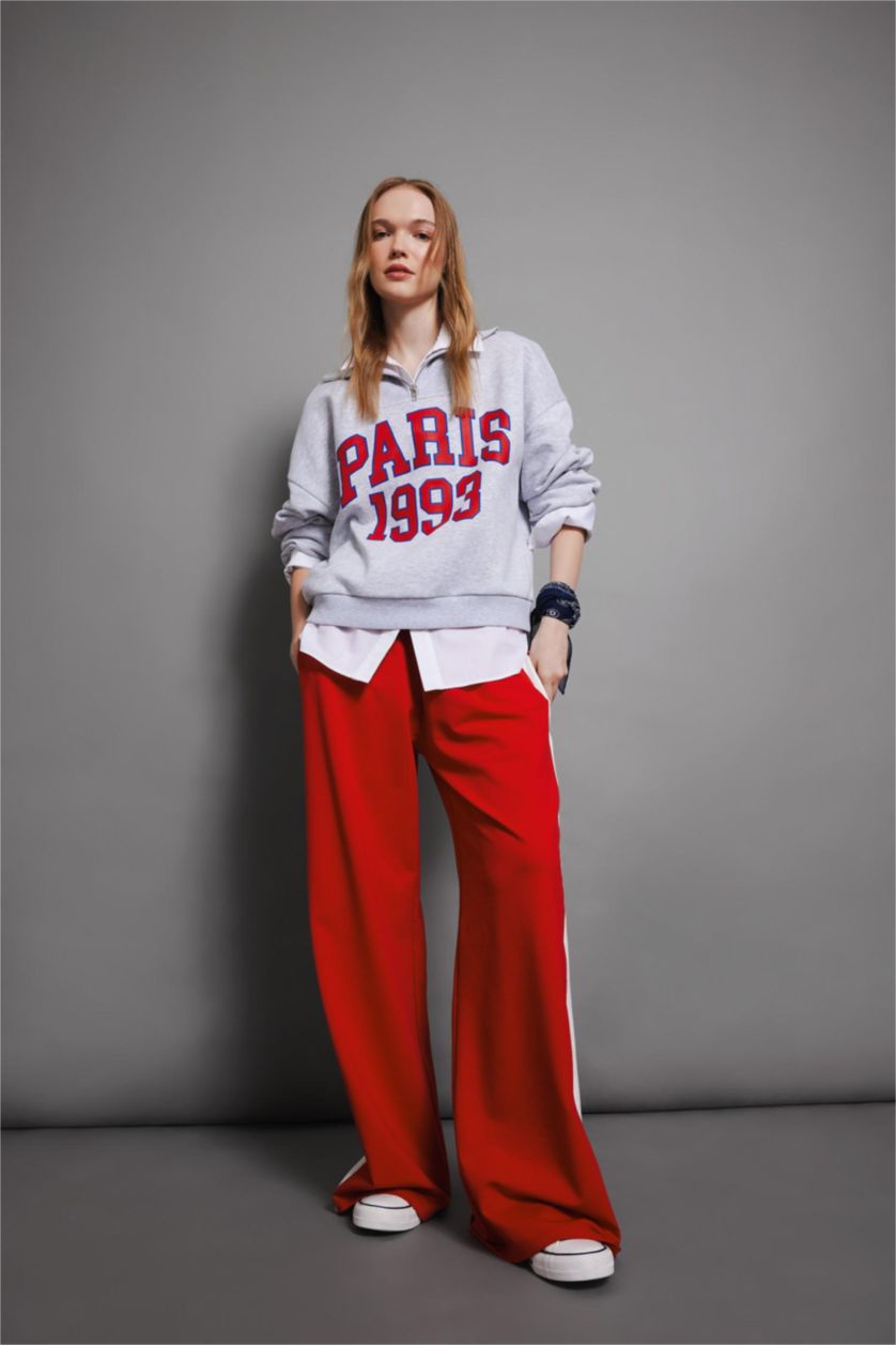 Woman Grey Melange Oversize Fit Half Zippered Printed Thick Fabric Sweatshirt