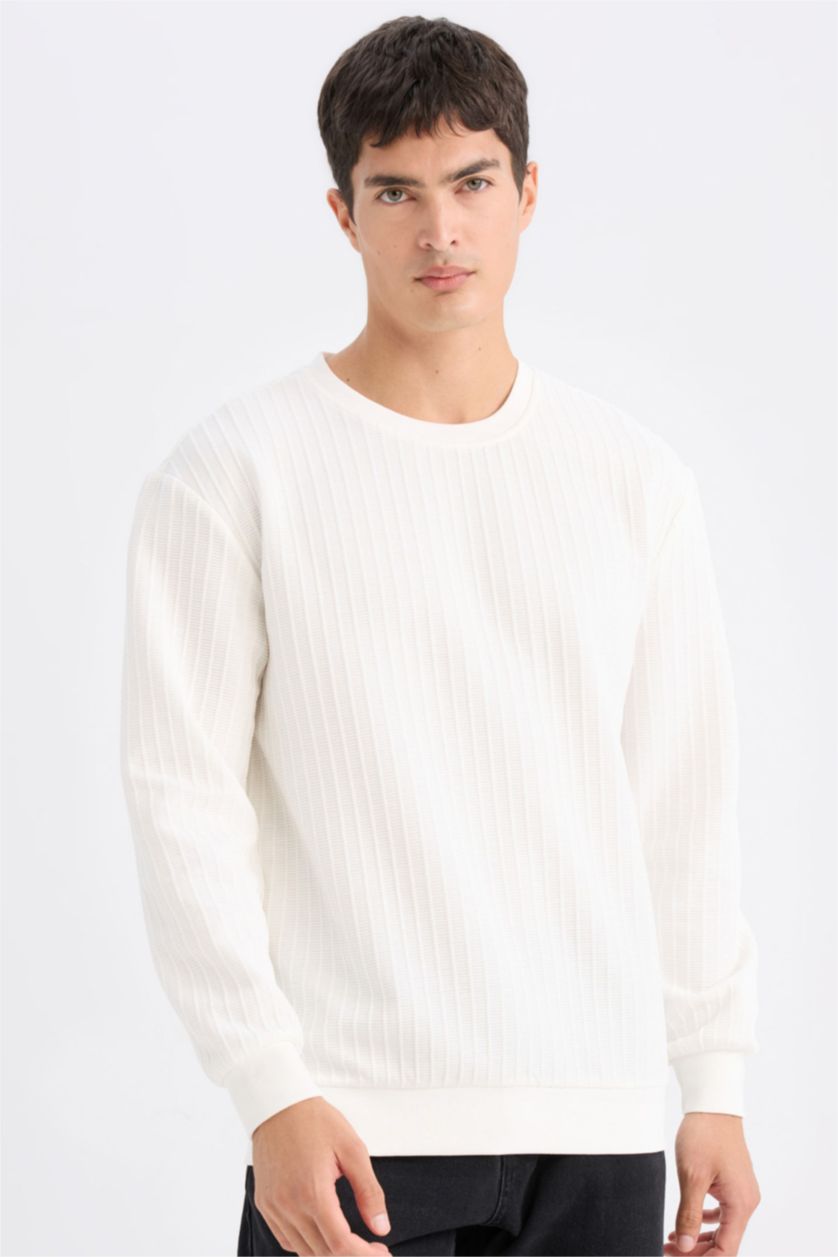 Erkek Kırık Beyaz Regular Fit Bisiklet Yaka Jakarlı Sweatshirt