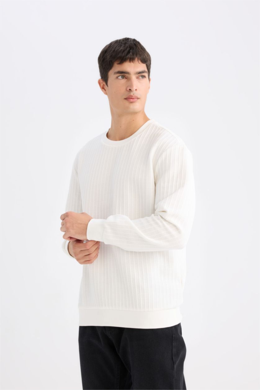 Erkek Kırık Beyaz Regular Fit Bisiklet Yaka Jakarlı Sweatshirt