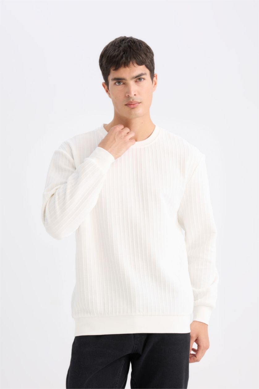 Erkek Kırık Beyaz Regular Fit Bisiklet Yaka Jakarlı Sweatshirt