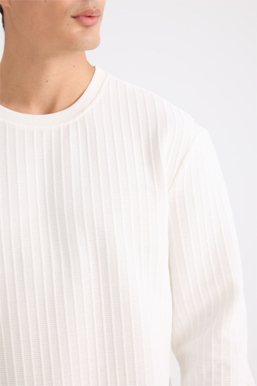 Erkek Kırık Beyaz Regular Fit Bisiklet Yaka Jakarlı Sweatshirt