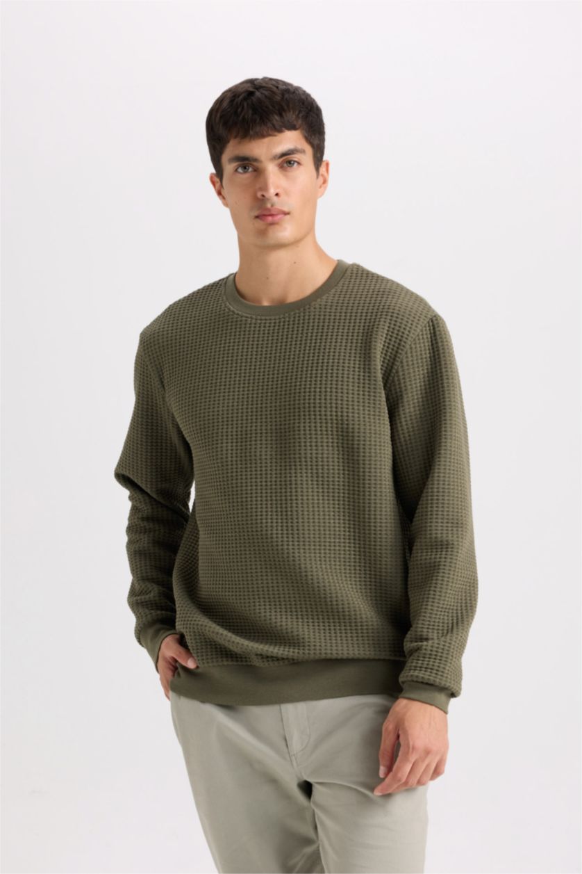 Erkek Haki Regular Fit Bisiklet Yaka Jakarlı Sweatshirt