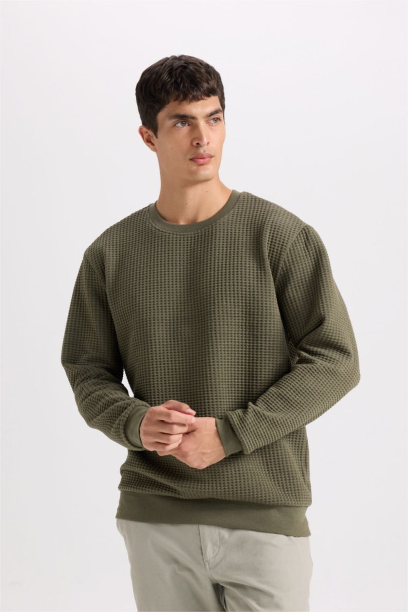 Erkek Haki Regular Fit Bisiklet Yaka Jakarlı Sweatshirt