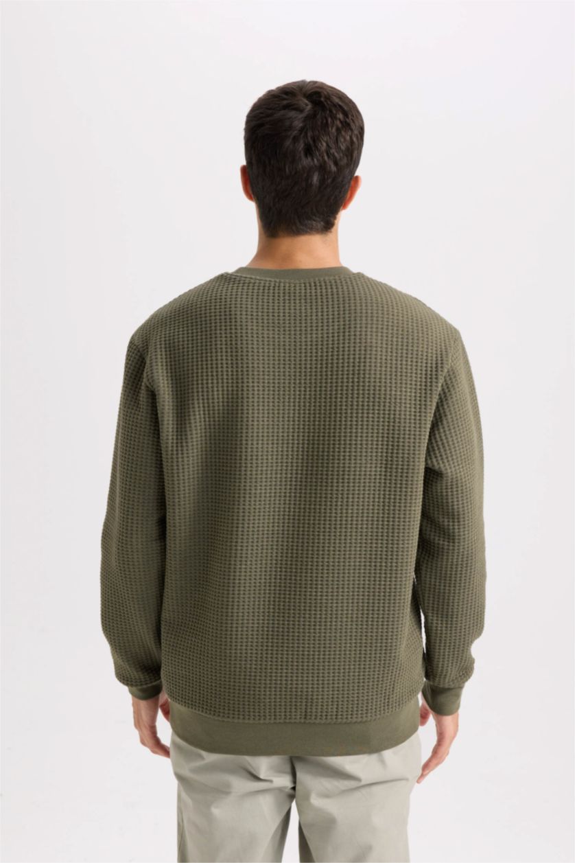 Erkek Haki Regular Fit Bisiklet Yaka Jakarlı Sweatshirt