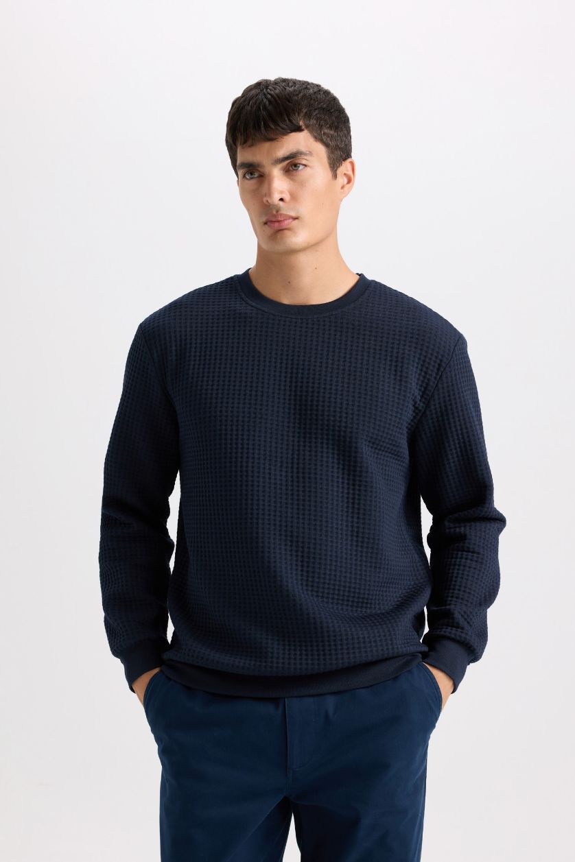 Man NAVY Regular Fit Crew Neck Jacquard Sweatshirt