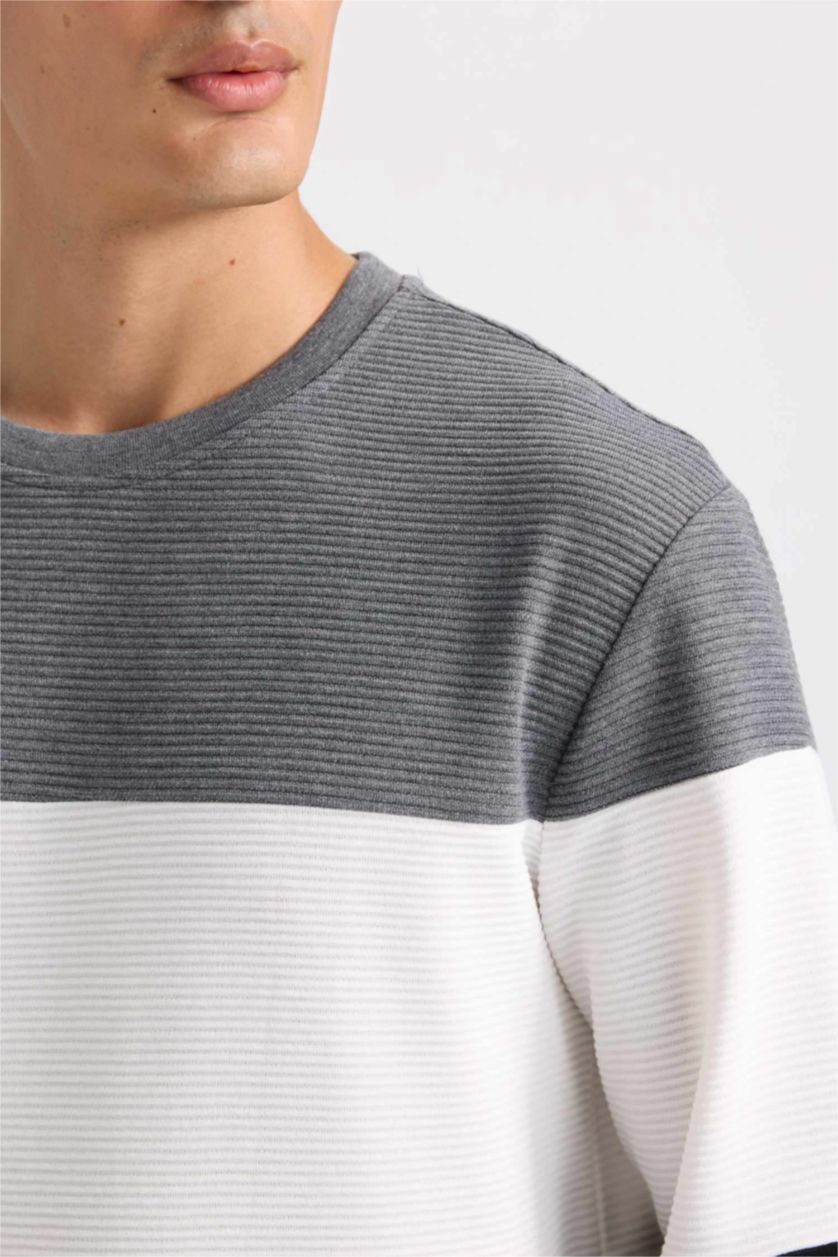 Erkek Siyah Regular Fit Bisiklet Yaka Jakarlı Sweatshirt