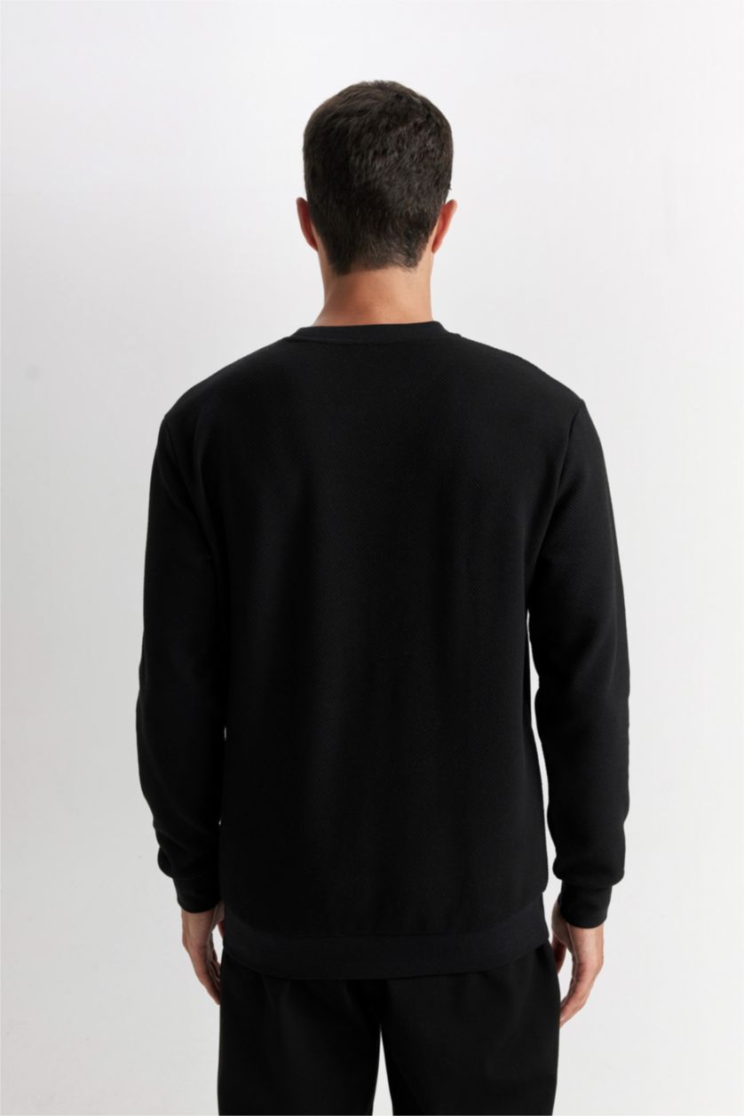 Erkek Siyah Regular Fit Bisiklet Yaka Jakarlı Sweatshirt