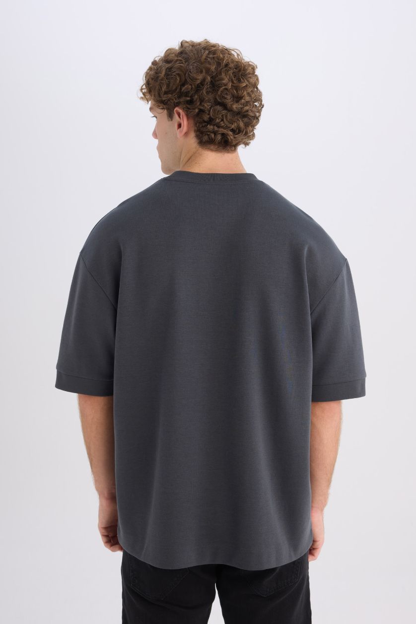Erkek Antrasit Loose Fit Bisiklet Yaka Baskılı Ağır Kumaş Kısa Kollu Tişört