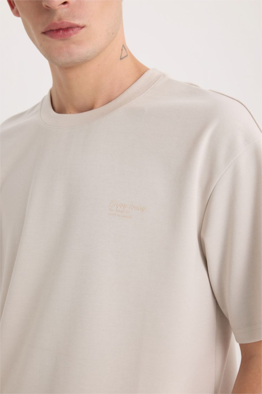 Erkek Taş Boxy Fit Bisiklet Yaka Ütü Gerektirmeyen Nefes Alabilen Baskılı Kısa Kollu Ağır Kumaş Tişört