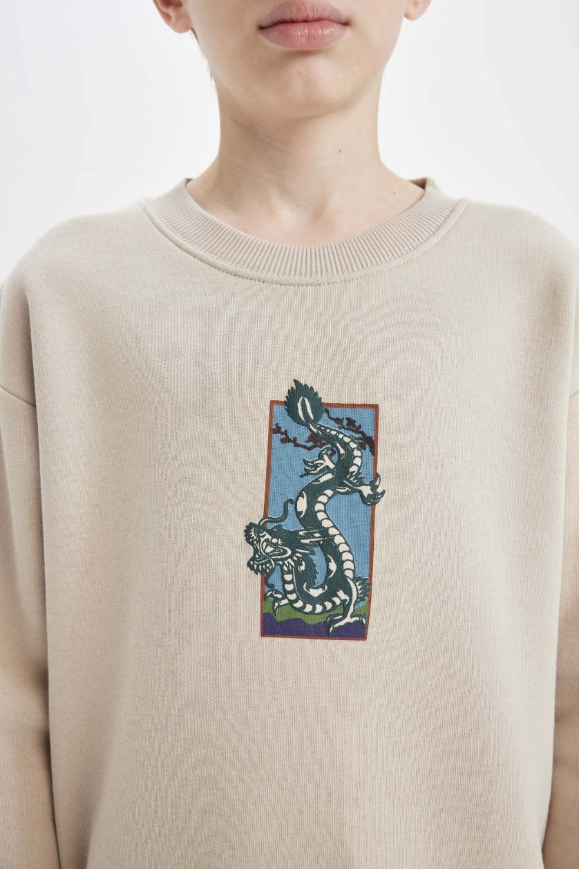 BOYS & TEENS Stone Boy Oversize Fit Wide Fit Crew Neck Printed Sweatshirt