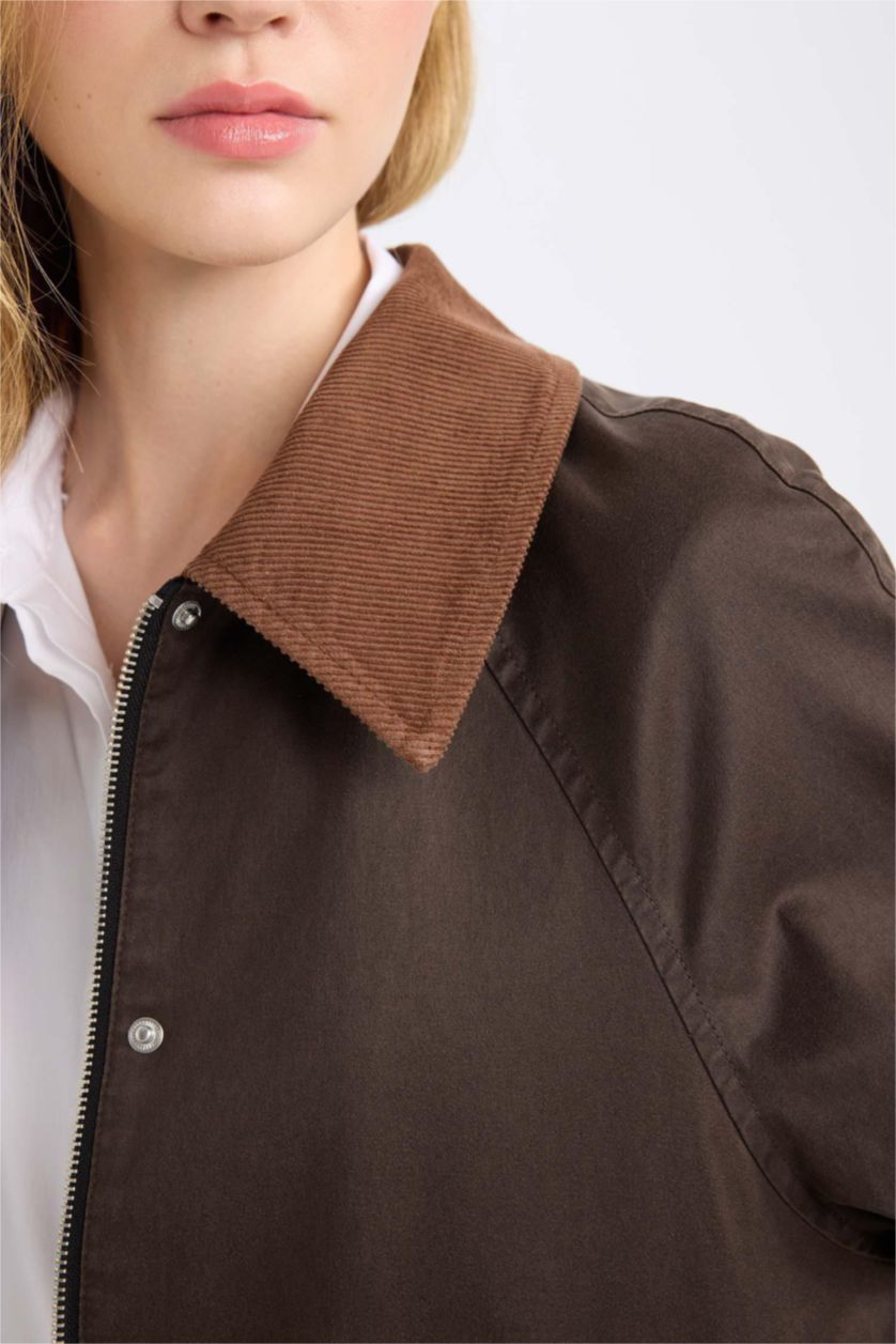 نساء بني جاكيت مشمع مخمل بقصة عادية وياخة بولو