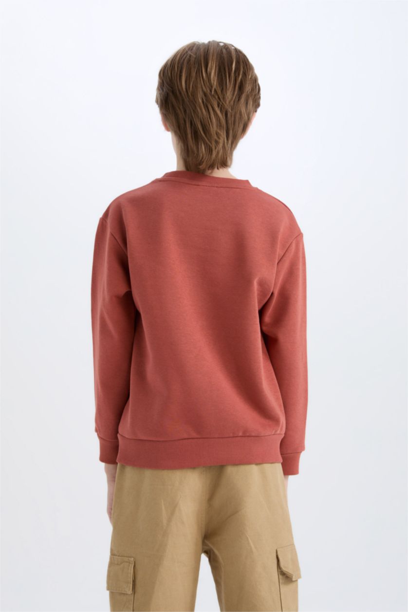 BOYS & TEENS Cinnamon Boy Regular Fit Crew Neck Printed Soft Furry Inside Sweatshirt