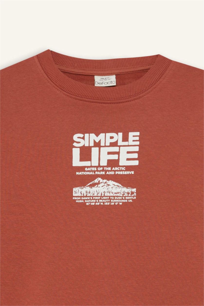 BOYS & TEENS Cinnamon Boy Regular Fit Crew Neck Printed Soft Furry Inside Sweatshirt