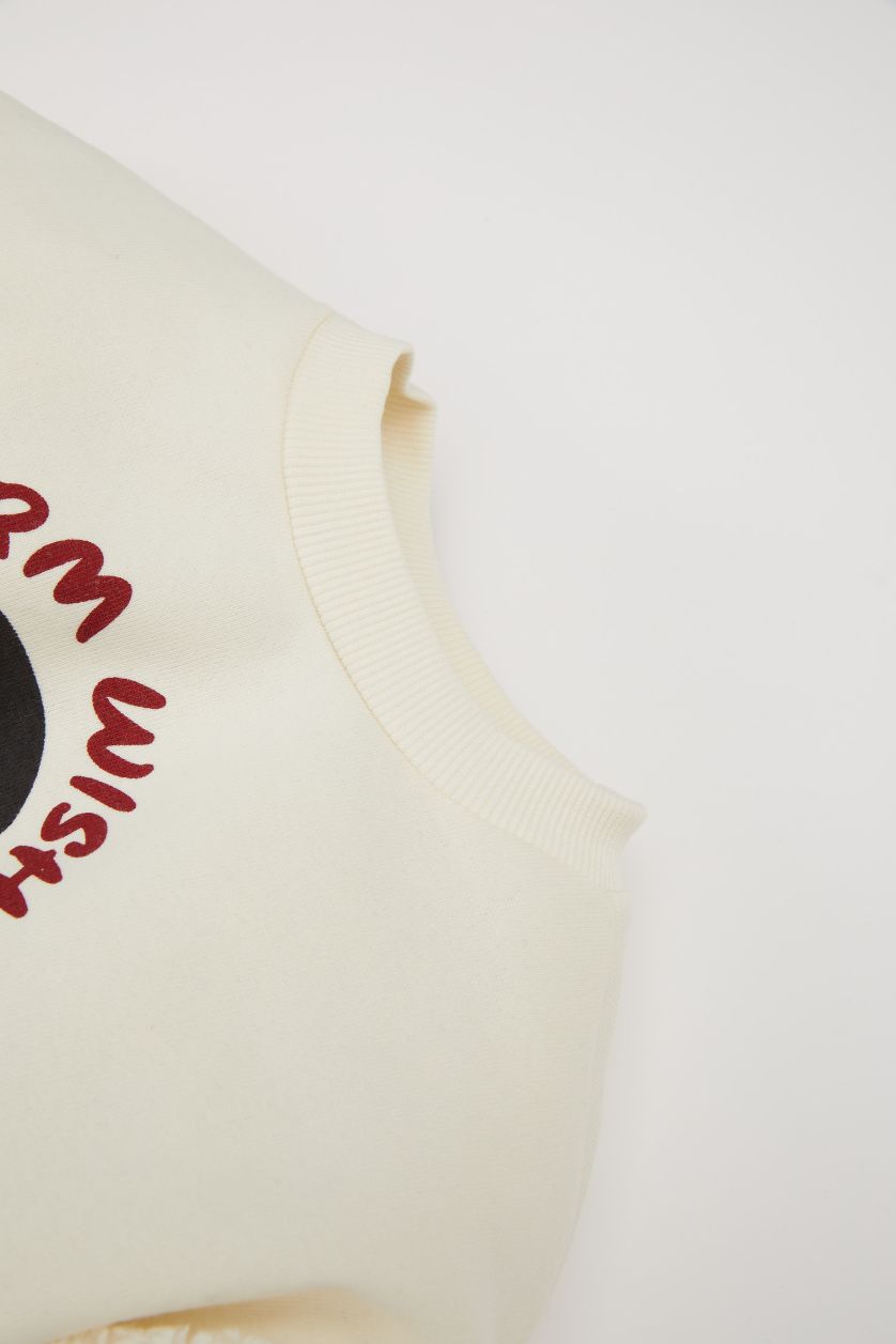 Baby Girl Ecru Baby Girl Crew Neck Printed Soft Furry Sweatshirt