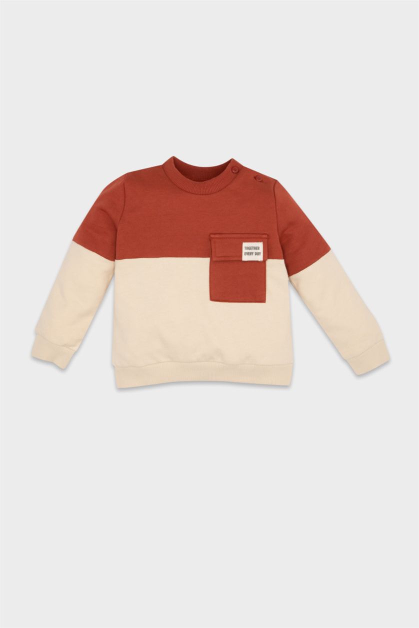 Baby Boys Dark Orange Regular Fit Color Block Crew Neck Sweatshirt