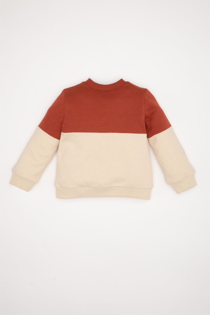 Baby Boys Dark Orange Regular Fit Color Block Crew Neck Sweatshirt