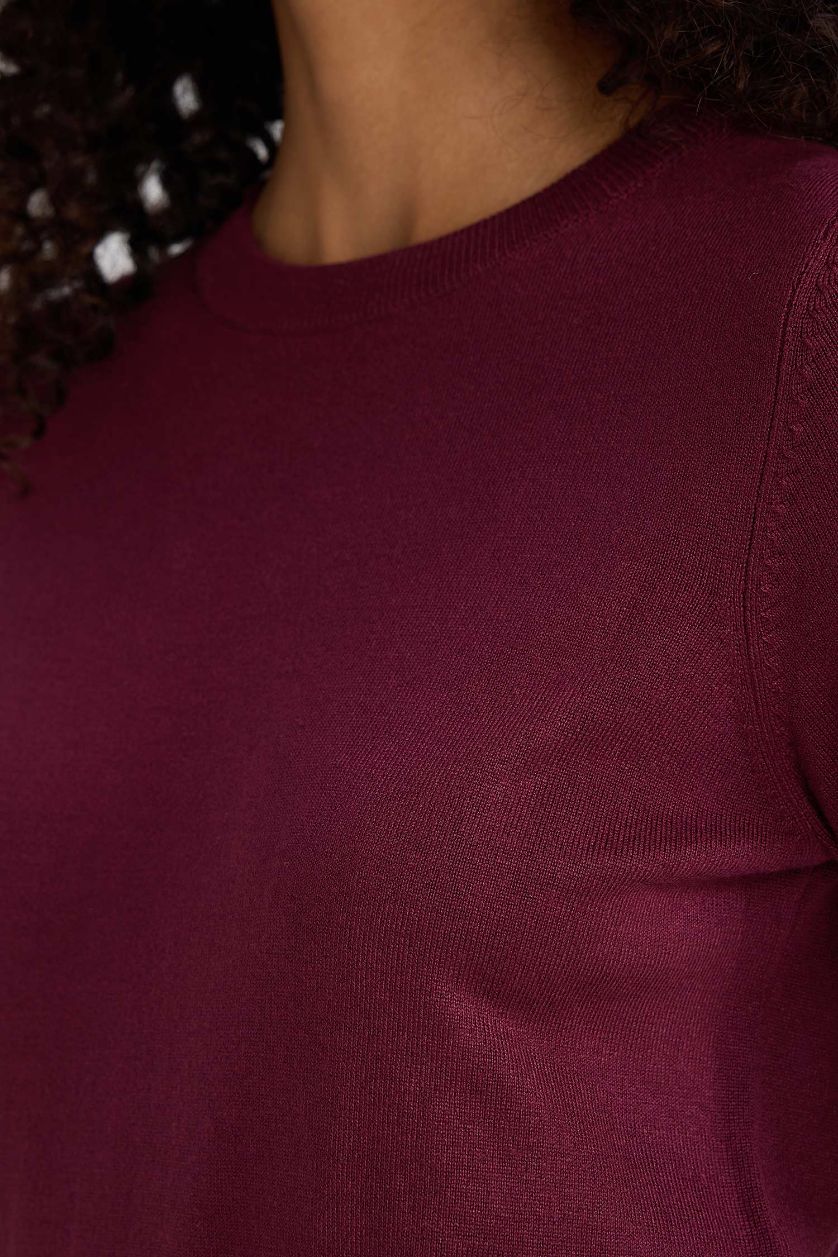 Kadın Bordo Regular Fit Bisiklet Yaka Kısa Kollu Triko Kazak