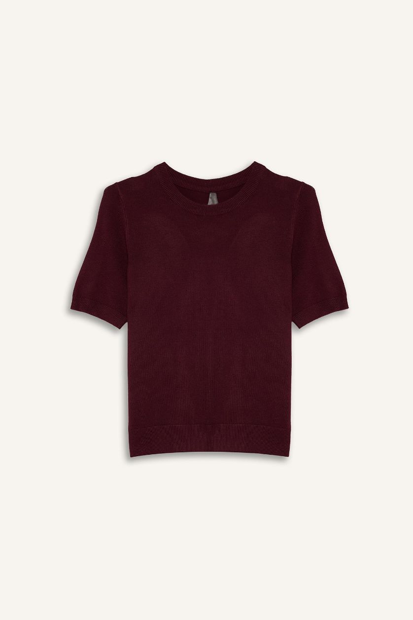 Kadın Bordo Regular Fit Bisiklet Yaka Kısa Kollu Triko Kazak