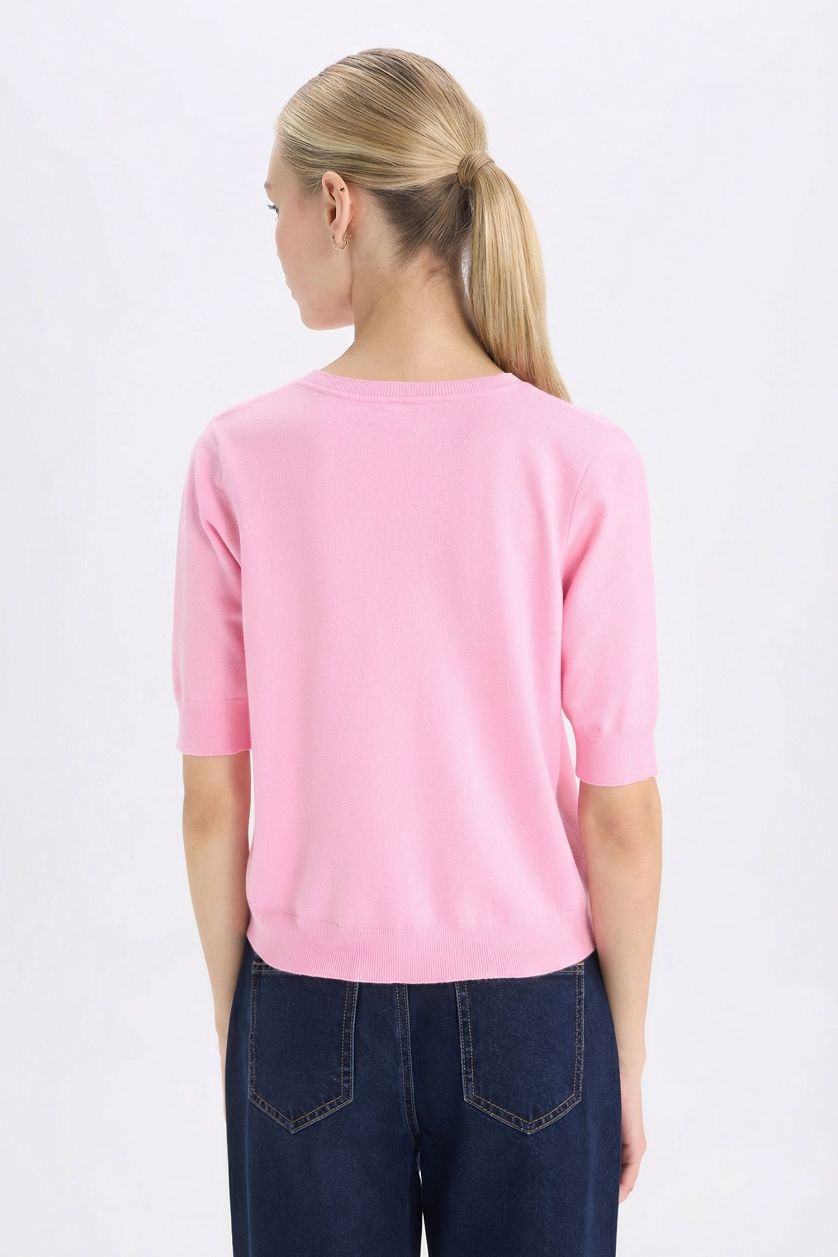 Kadın Pembe Regular Fit Bisiklet Yaka Basic Düz Kısa Kollu Triko Kazak