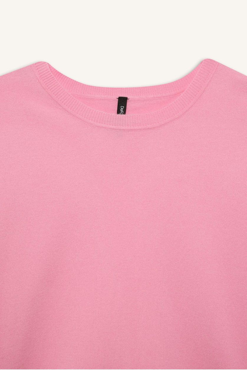 Kadın Pembe Regular Fit Bisiklet Yaka Basic Düz Kısa Kollu Triko Kazak