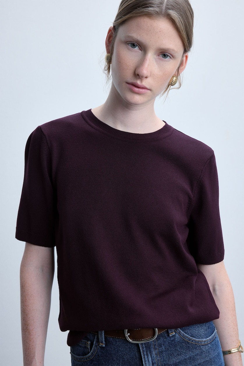 Women Bordeaux Regular Fit Burgundy Crew Neck Sweater