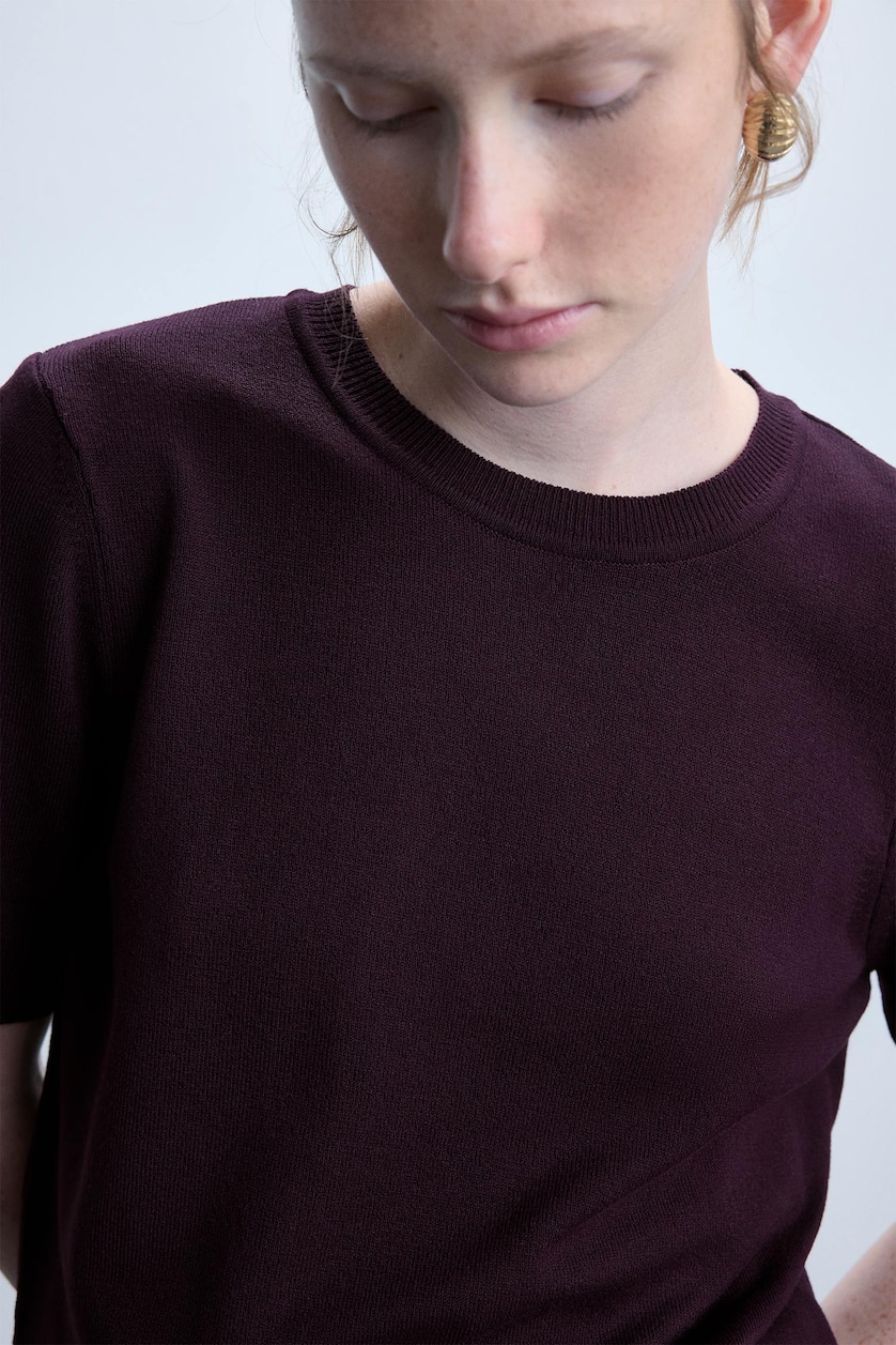 Women Bordeaux Regular Fit Burgundy Crew Neck Sweater