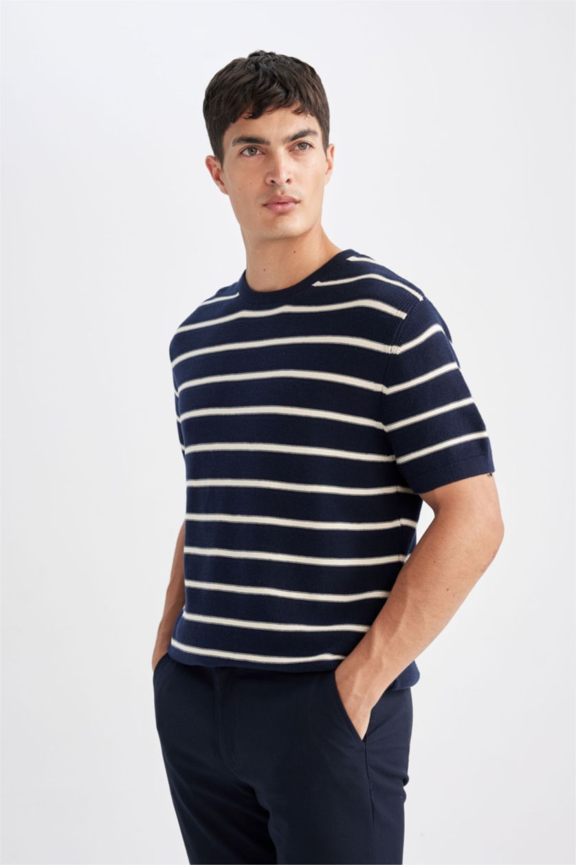 Man NAVY Standard Fit Crew Neck Cotton Striped T-Shirt
