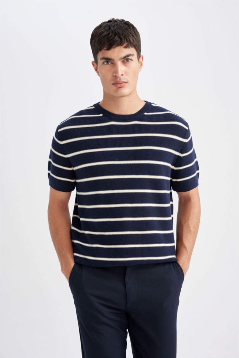 Man NAVY Standard Fit Crew Neck Cotton Striped T-Shirt