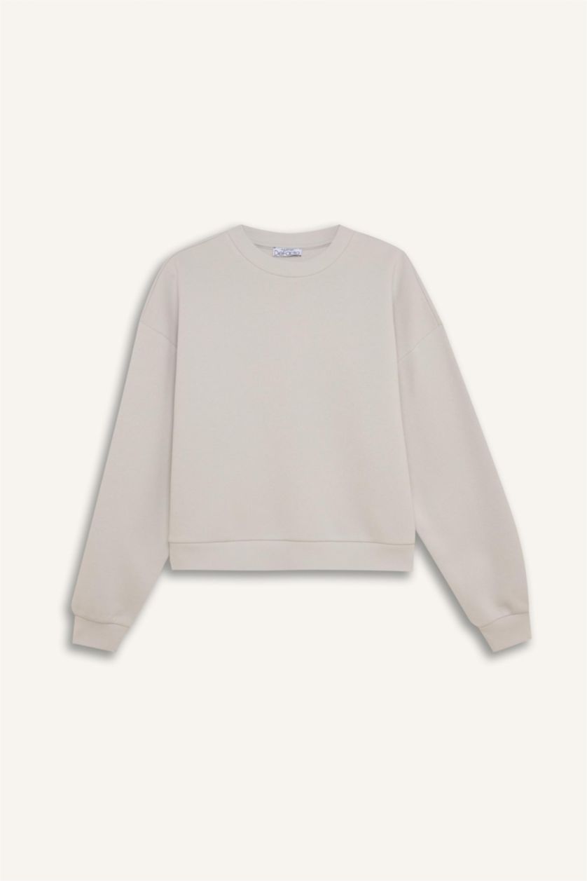 Kadın Açık Gri Regular Fit Bisiklet Yaka Kalın Basic Düz Sweatshirt