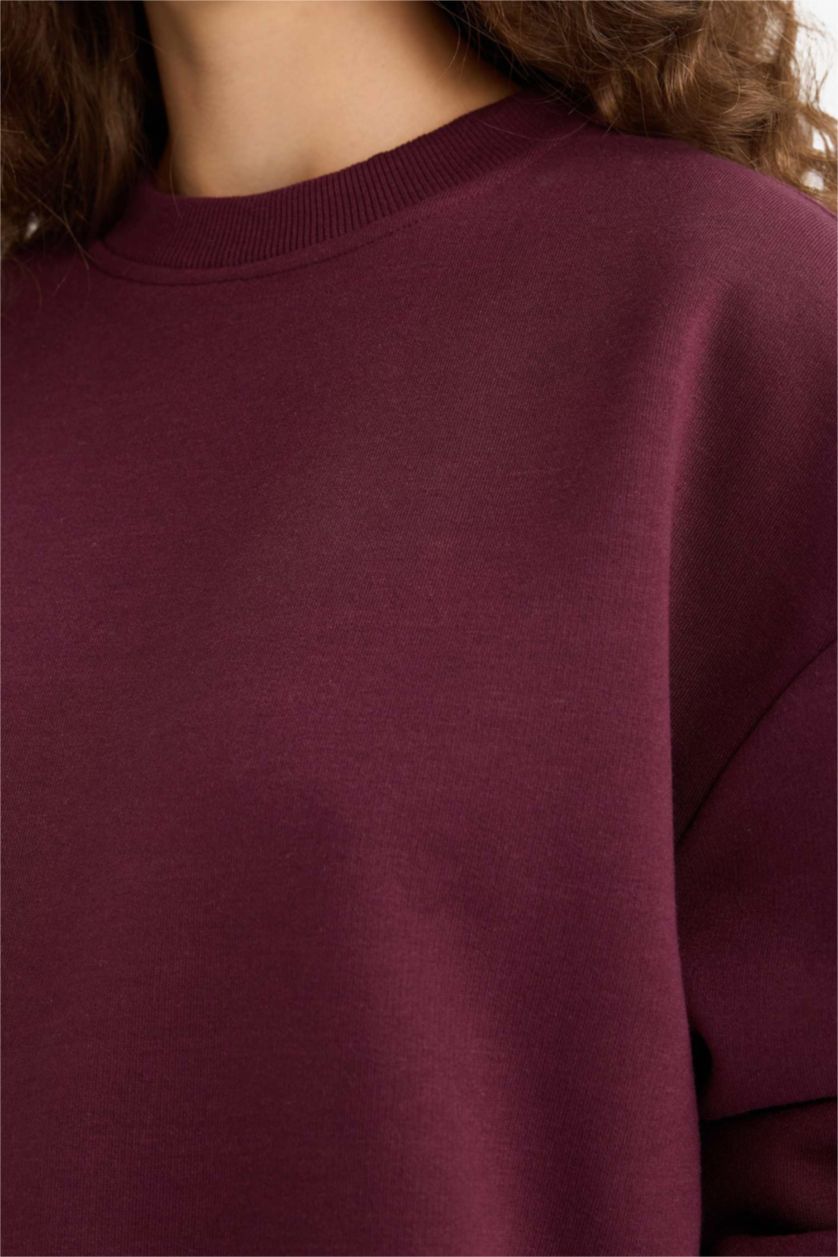 حريمي خمري سويت شيرت تقيل قصة عادية