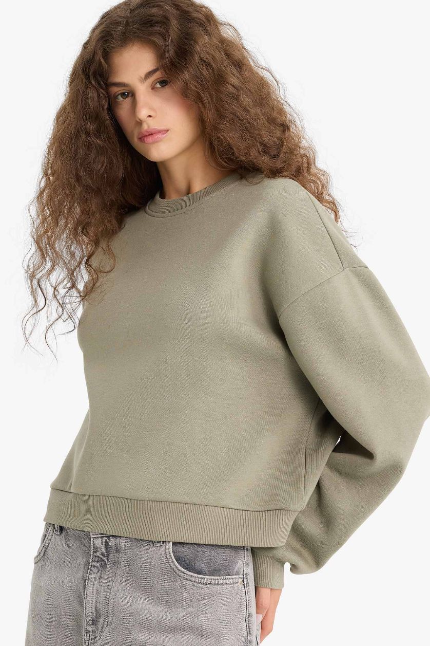 Woman Light Khaki Regular Fit Long Sleeve Sweatshirt