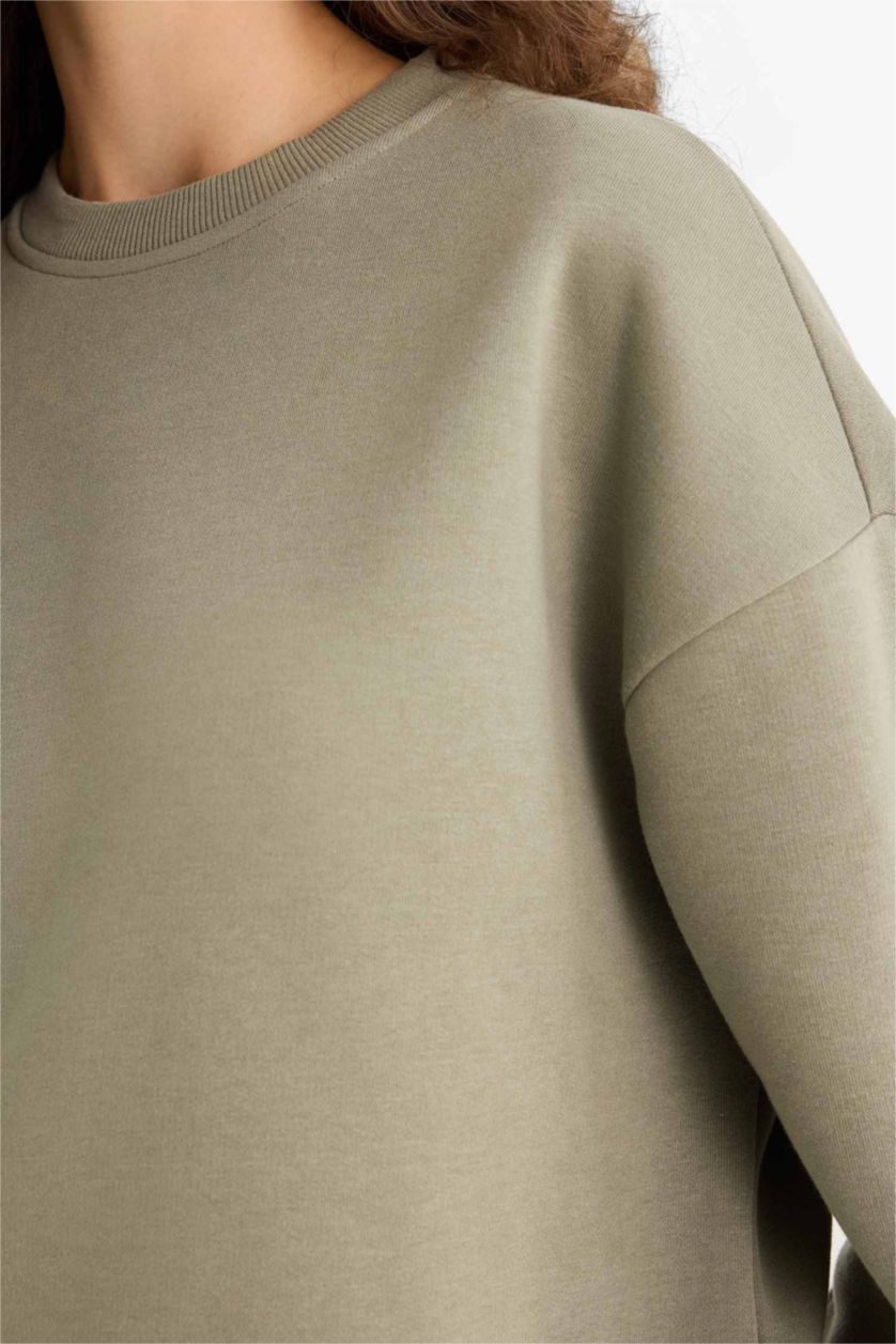 Woman Light Khaki Regular Fit Long Sleeve Sweatshirt