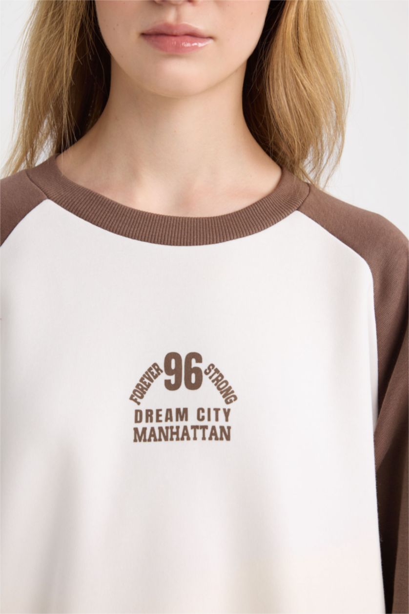 WOMAN Brown Loose Fit Crew Neck Printed Color Block Sweatshirt