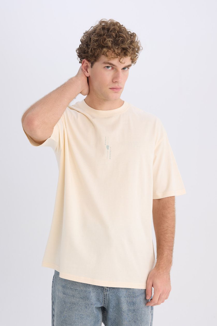 Erkek Taş %100 Pamuk Avatar the Last Airbender Boxy Fit Bisiklet Yaka Sırt Baskılı Kısa Kollu Tişört