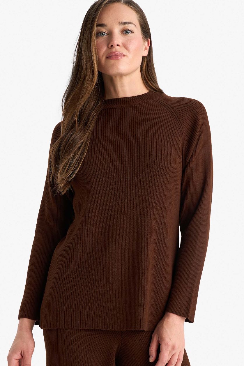 Kadın Koyu Kahve Regular Fit Bisiklet Yaka Basic Düz Triko Kazak