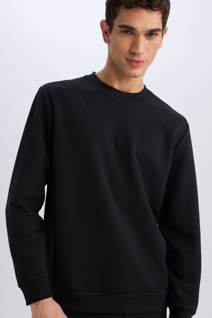 Erkek Siyah Regular Fit Bisiklet Yaka Basic Düz Sweatshirt